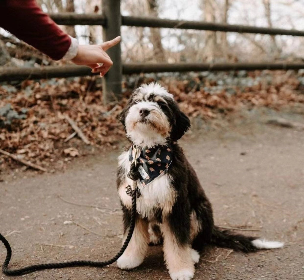 The Natural Rope Lead