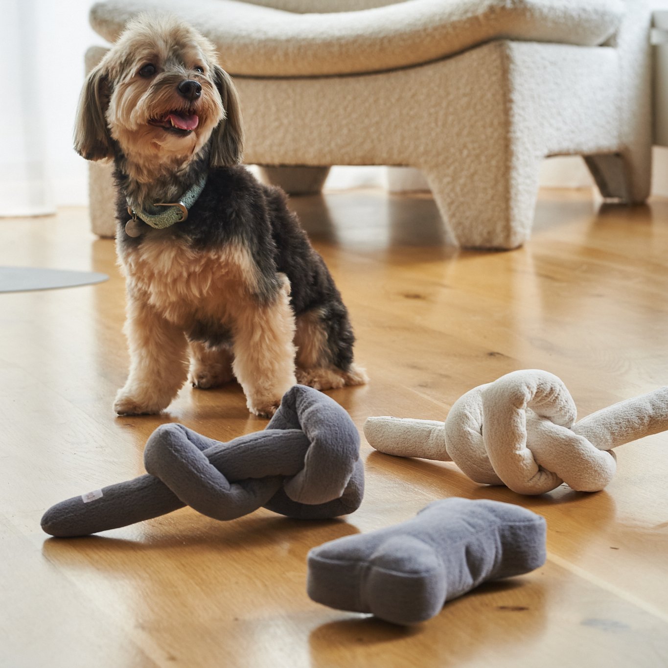 The Boucle Bone