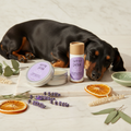 Calm & Clover Soothing Balm