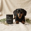 BDS Relax supplement with dachshund - Clover Tail Co.