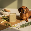 Neem Shampoo Bar