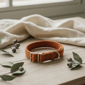 Organic Hemp Dog Collar - Orange Burst