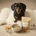 Paw Soak with Dachshund