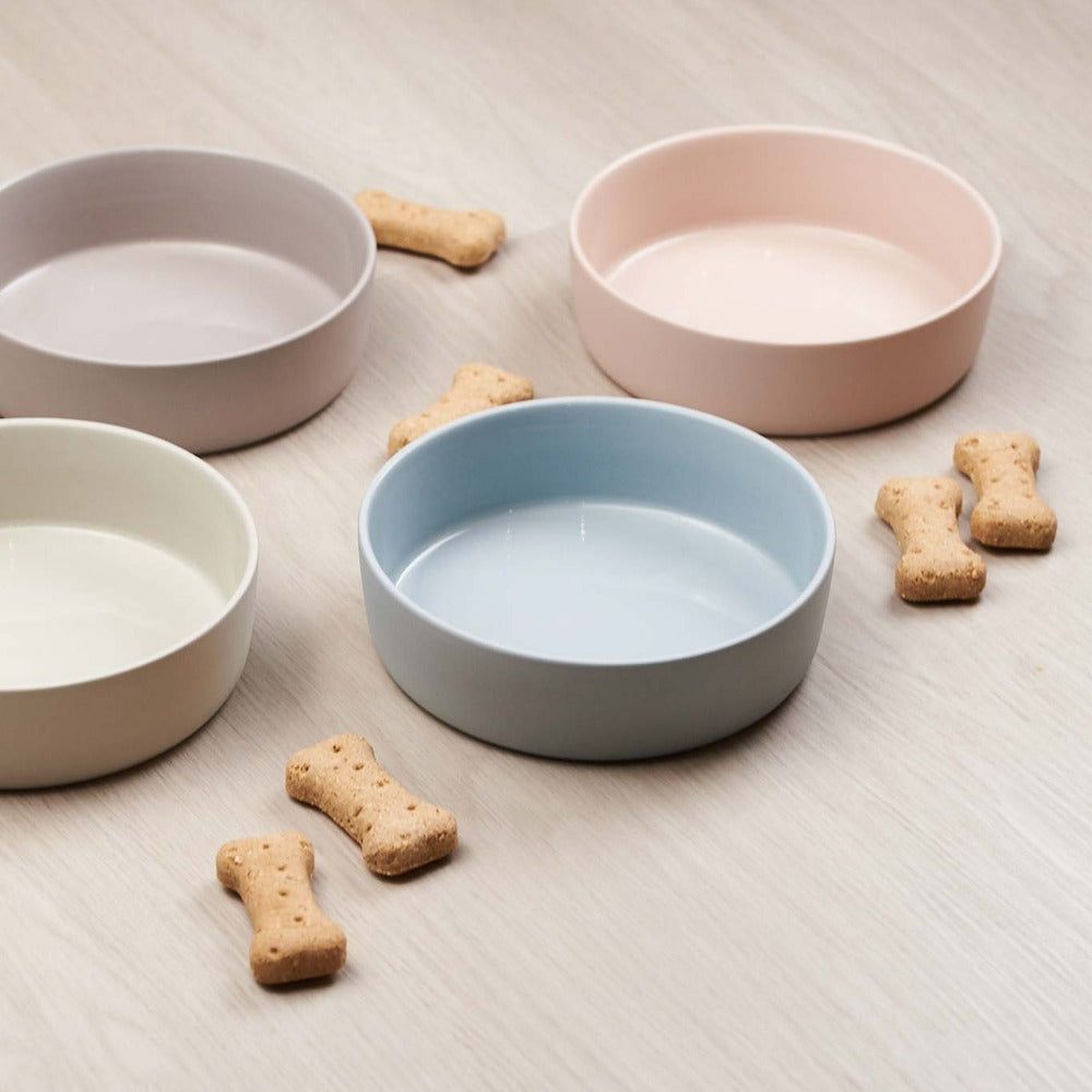 The Ceramic Bowl